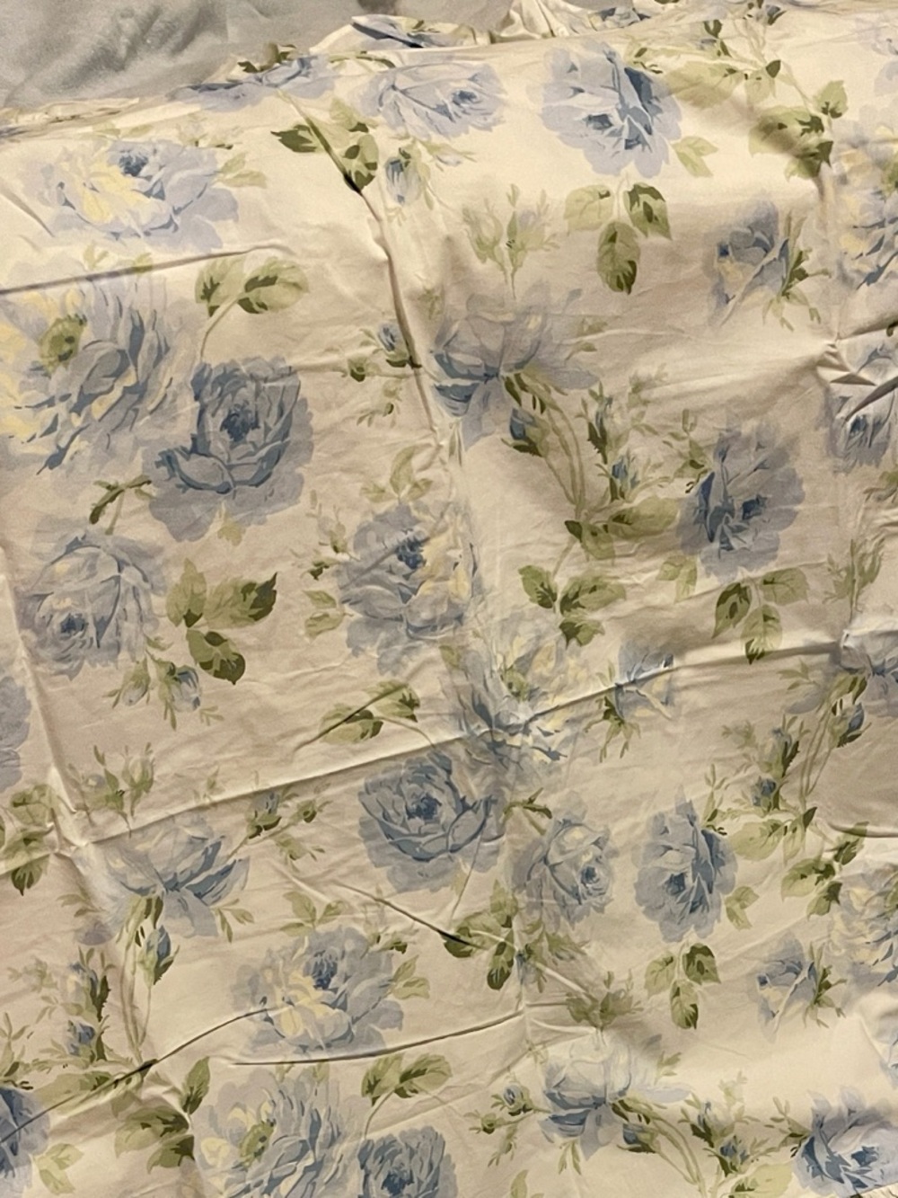 Rachel Ashwell Shabby chic Blue  sorbet euro shams 🩵